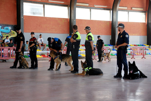 Exhibición de las unidades caninas de diferentes municipios catalanes durante la presentación del K-33 en Sant Esteve de Sesrovires. 