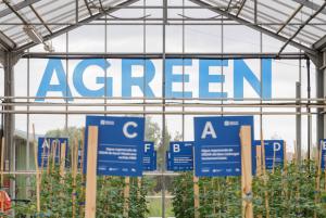 Agreen: el potencial de l’aigua regenerada per a l’agricultura en l’àmbit metropolità