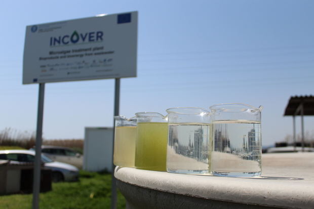 De izquierda a derecha: muestras de agua del canal de riego (con las que se alimenta a als algas), agua de los fotobioreactores, agua salida del decantador y agua después de la planta de filtración (pre-potable). 
