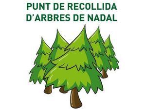 Castelldefels habilita puntos de recogida de árboles de Navidad