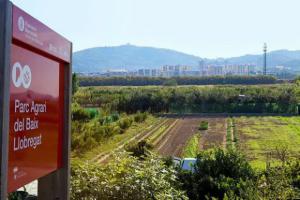 Desastre inminente. La ampliación de la ZEPA del Delta del Llobregat arruinará a los agricultores