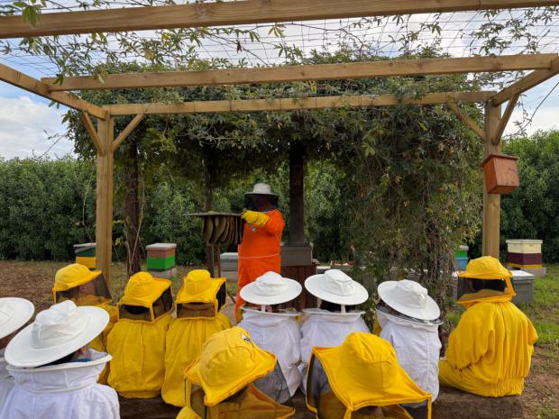 75 alumnos de Viladecans cuidan de sus abejas con el traslado de dos colmenas hasta el Solsonès