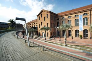 La Biblioteca Tecla Sala, el gran tesoro cultural de L'Hospitalet, celebra 25 años de historia