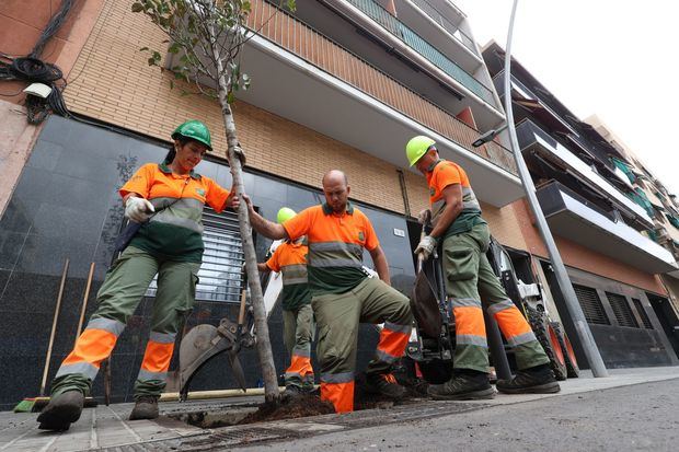 ¡Verde que te quiero verde! La mayor campaña de plantación de árboles de la historia de L'Hospitalet