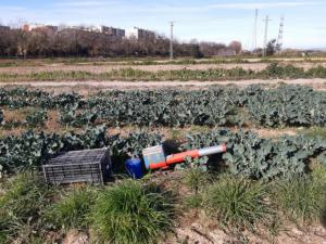 La insólita verdad tras las detonaciones que asustan a la fauna del Parc Agrari y no son cazadores