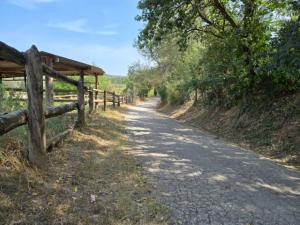 Ya se puede transitar sin problemas por el camino a Ca n'Abat: limpieza de las hierbas de la calzada