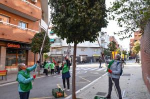 Esplugues organiza una cosecha colectiva de naranjas amargas para hacer mermelada