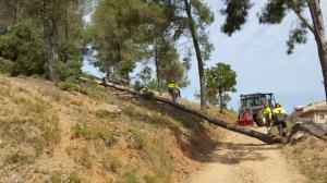 Nuevo dispositivo de prevención de incendios forestales en el Baix Llobregat