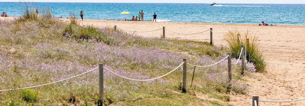 Las playas del Baix presumen de una imagen aún más natural y sostenible