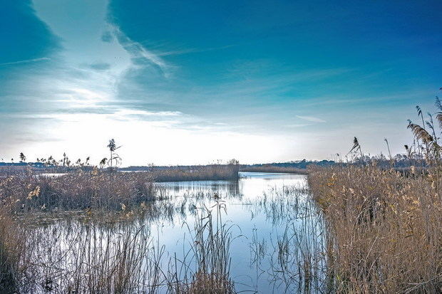 La protección del espacio natural del Delta del Llobregat sigue pendiente del plan director