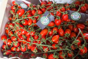 Los pequeños comercios de Viladecans se unen para promover las frutas y verduras de temporada