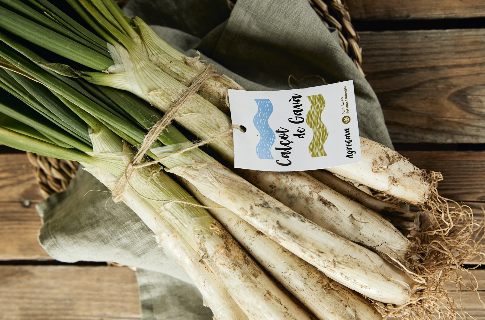 Espárragos y calçots, joyas agrícolas. Gavà logra una prestigiosa distinción gastronòmica