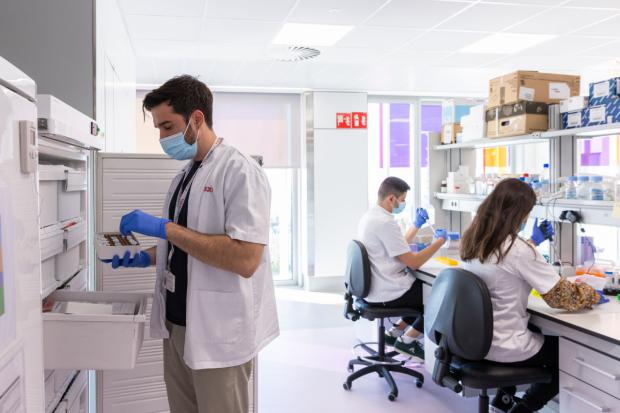 Investigadores del laboratorio del Hospital Sant Joan de Déu trabajan en el banco de tumores pediátricos