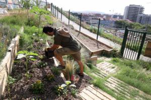 Comienza la instalación de huertos urbanos en el parque del puente de Matacavalls