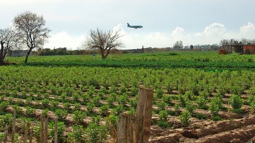Los payeses del Delta defienden el 'hub' agroalimentario del Parc Agrari del Baix