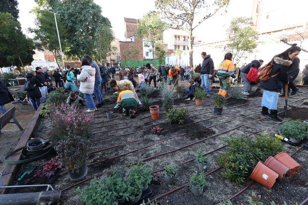 Los vecinos de L'Hospitalet hacen brotar la vegetación de la nueva isla verde de Santa Eulàlia