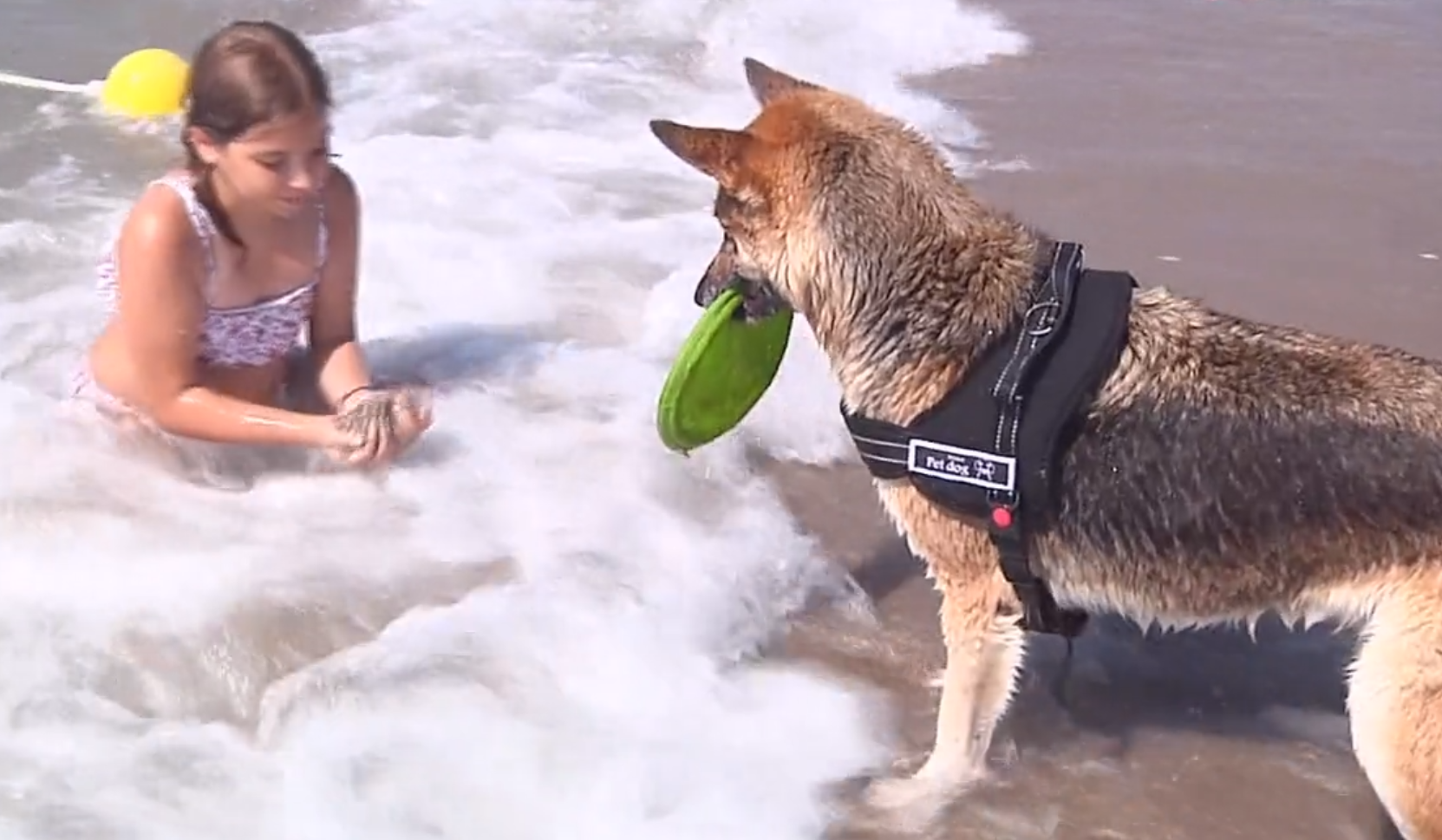 El Prat y Gavà se disputan la paternidad de la primera playa para perros del Delta