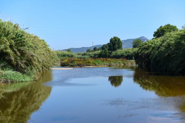 El río Llobregat recibe 2,5 millones de visitas al año, especialmente en su paso por el Baix