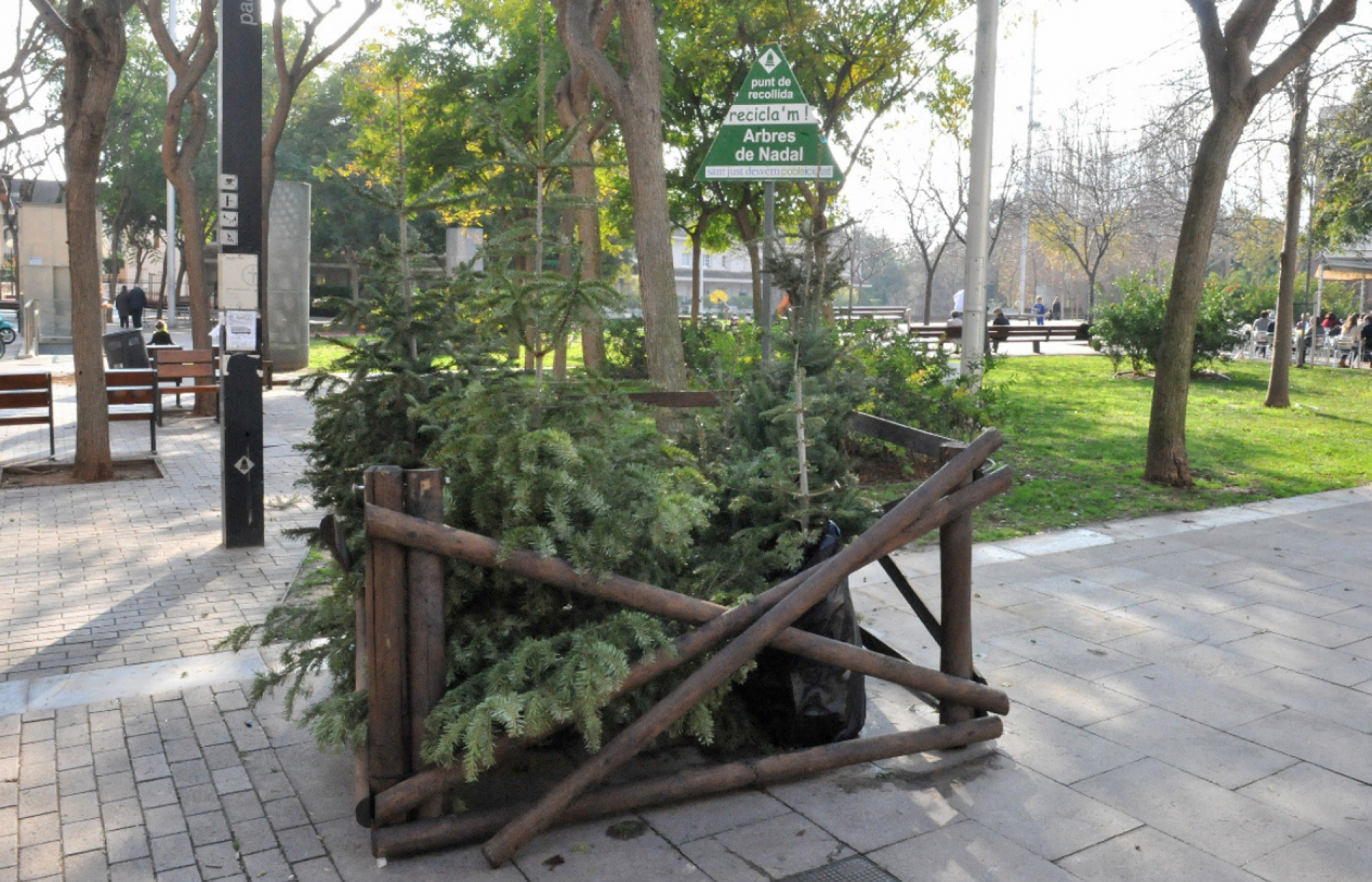 Sant Just Desvern recogerá árboles de Navidad que darán más vida a sus zonas verdes