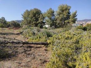 Esta organización ecologista denuncia unas obras en Gavà en plena temporada de incendios