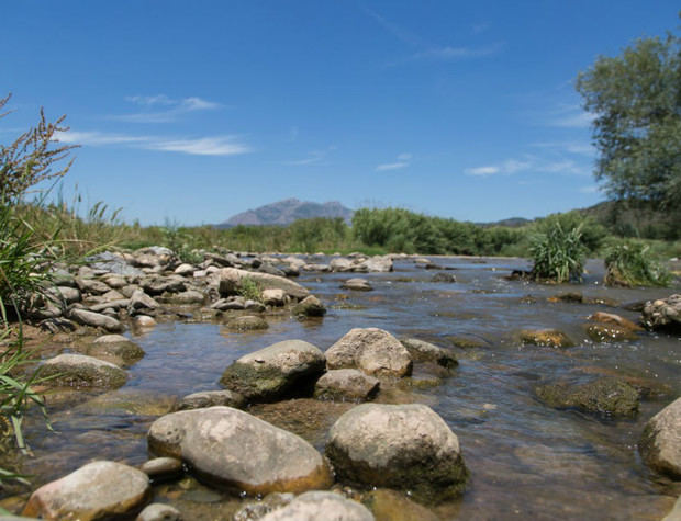 La Agencia Catalana del Agua (ACA) asegura que el vertido del viernes en el río no comporta ningún riesgo para la población