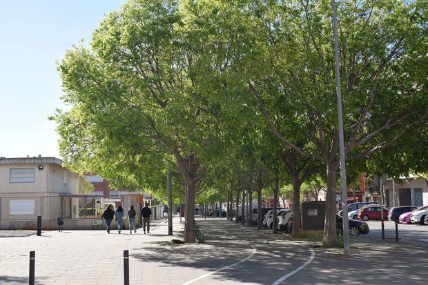 Viladecans plantará casi 2.500 árboles por toda la ciudad en su año más 'verde'