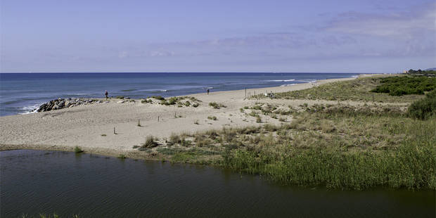 Ecologistes en Acció reconeix la qualitat natural de les platges de Viladecans