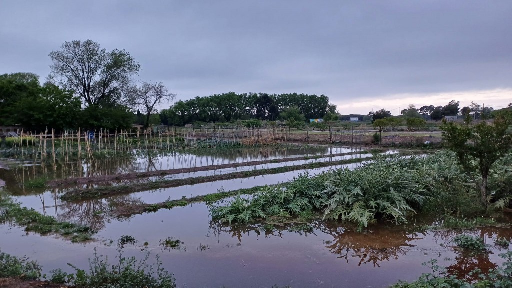 Campos de cultivo de Gavà, inundados (Autor: Xavi Cabo)